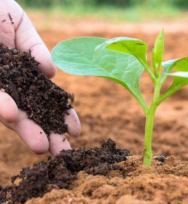 Agriculture & Fertiliser